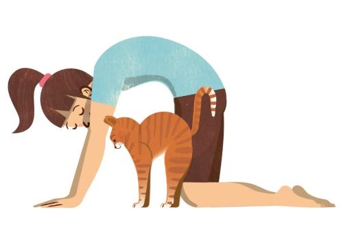 Cat yoga