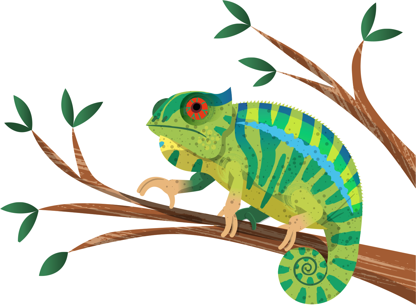 Chameleon