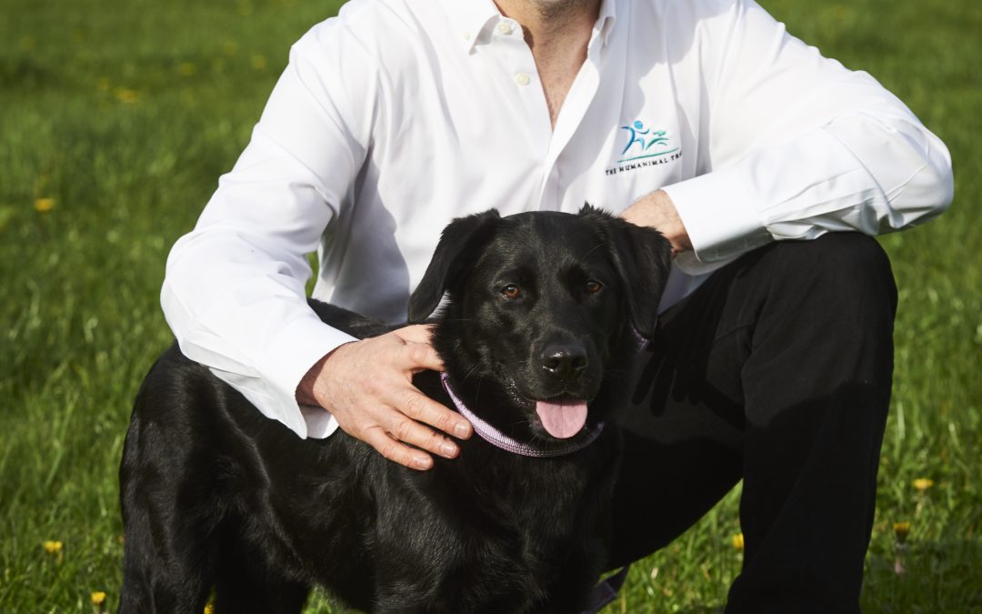 ‘What is One Medicine’ Explained by our Founder, Professor Noel Fitzpatrick