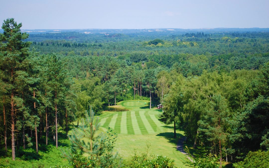 Grab your clubs and tee off for Humanimal Trust at our very first Golf Day