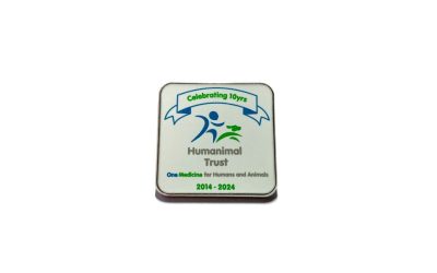 10th Anniversary Commemorative Pin Badge – Now Available to Buy