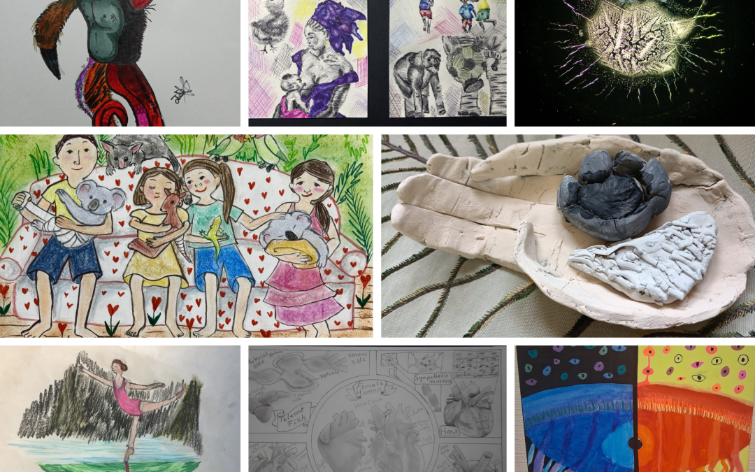 Humanimal Trust announces winners of Creative Awards 2025