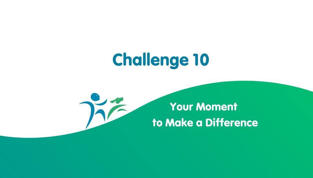 Challenge 10 – Help Celebrate our 10th Birthday!