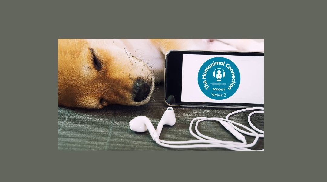 Humanimal Connection Series 2 launching on 17 January 22