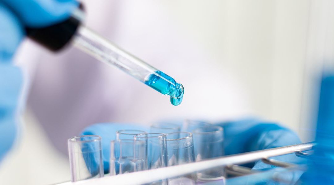 Humanimal Trust, and colleagues, respond to letter in the British Medical Journal