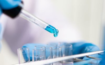 Humanimal Trust, and colleagues, respond to letter in the British Medical Journal