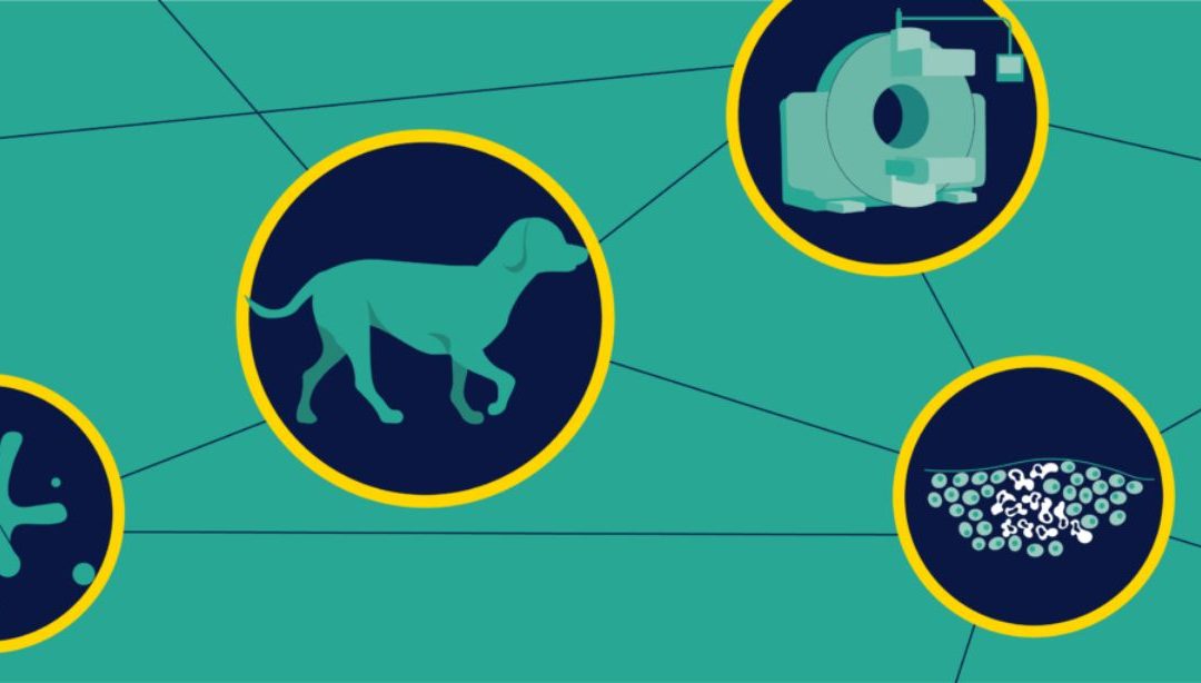 Humanimal Trust and UTOMIC announce partnership