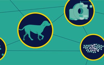 Humanimal Trust and UTOMIC announce partnership