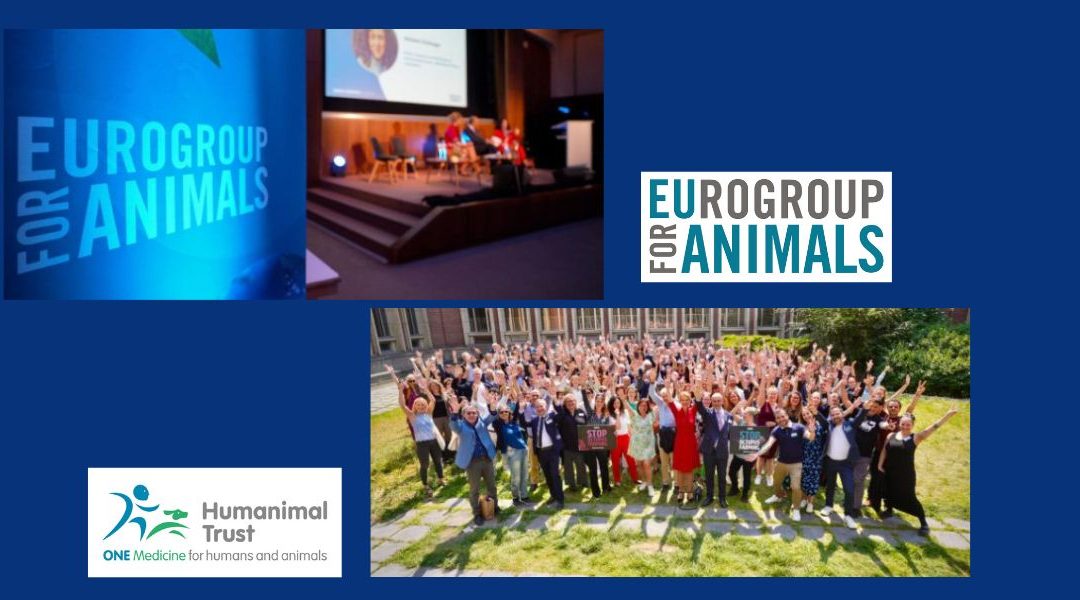 Humanimal Trust goes to Eurogroup Conference