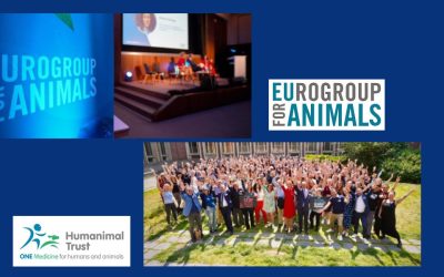 Humanimal Trust goes to Eurogroup Conference