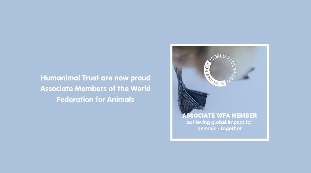 Humanimal Trust joins World Federation for Animals
