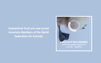Humanimal Trust joins World Federation for Animals