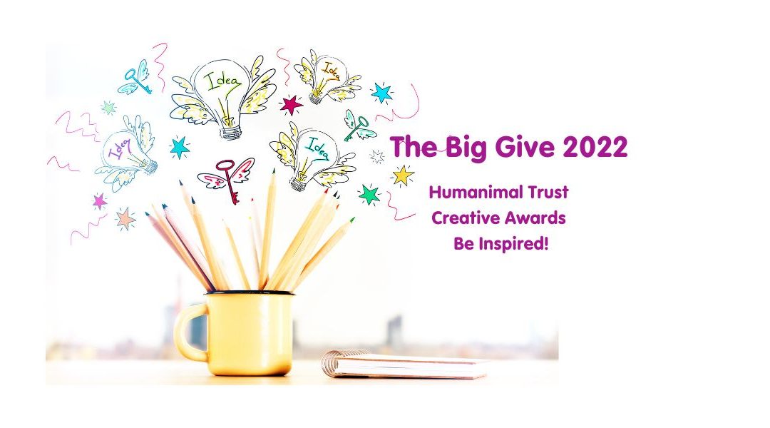Humanimal Trust’s Creative Awards Campaign with the Big Give