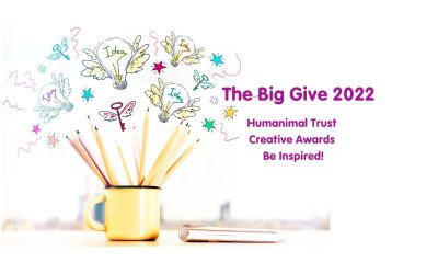 Humanimal Trust’s Creative Awards Campaign with the Big Give