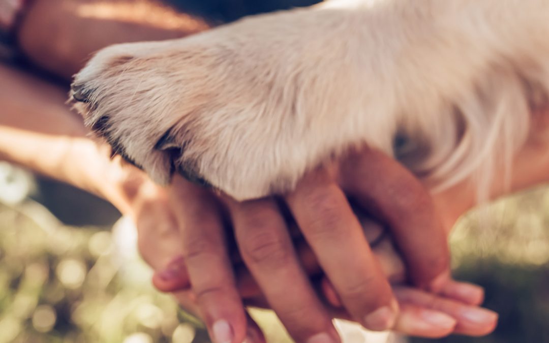 One Donation, Twice the Impact this Christmas!