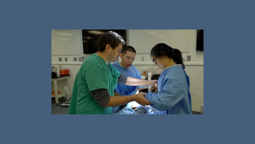 InterNICHE and Humanimal Trust Documentary ‘Surgery and the SynDaver Canine’’ – Worldwide launch