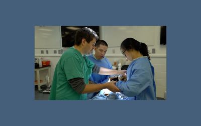 InterNICHE and Humanimal Trust Documentary ‘Surgery and the SynDaver Canine’’ – Worldwide launch