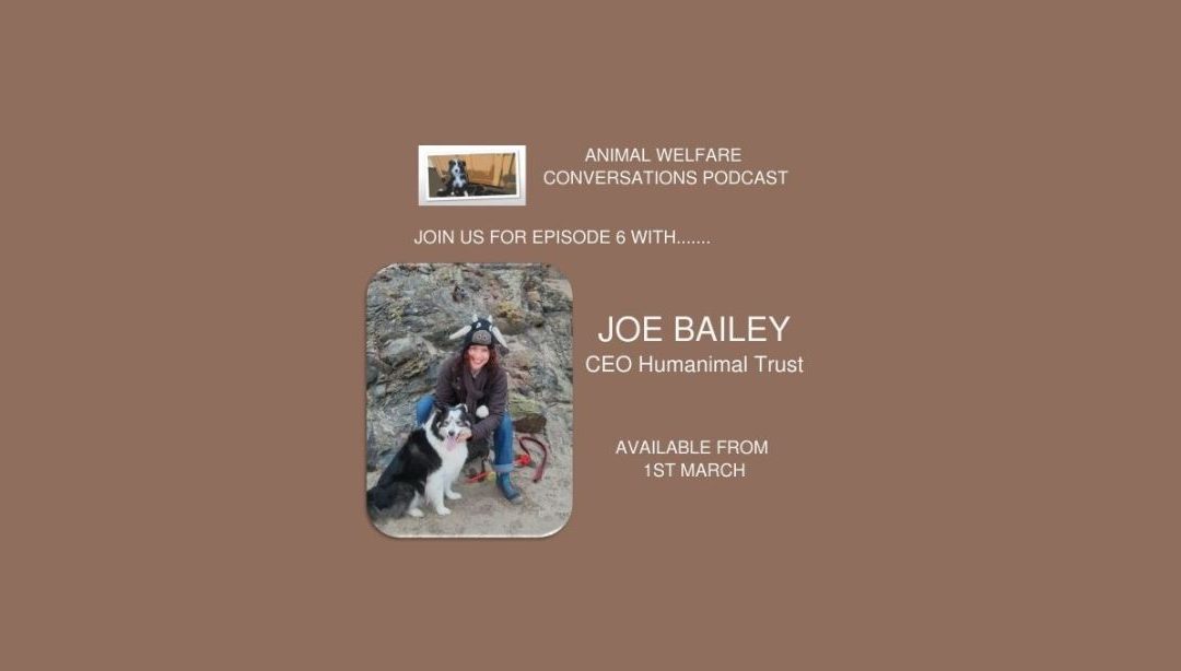 Joe Bailey, our CEO, on Animal Welfare Conversations Podcast