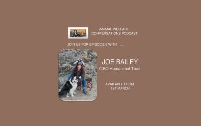 Joe Bailey, our CEO, on Animal Welfare Conversations Podcast