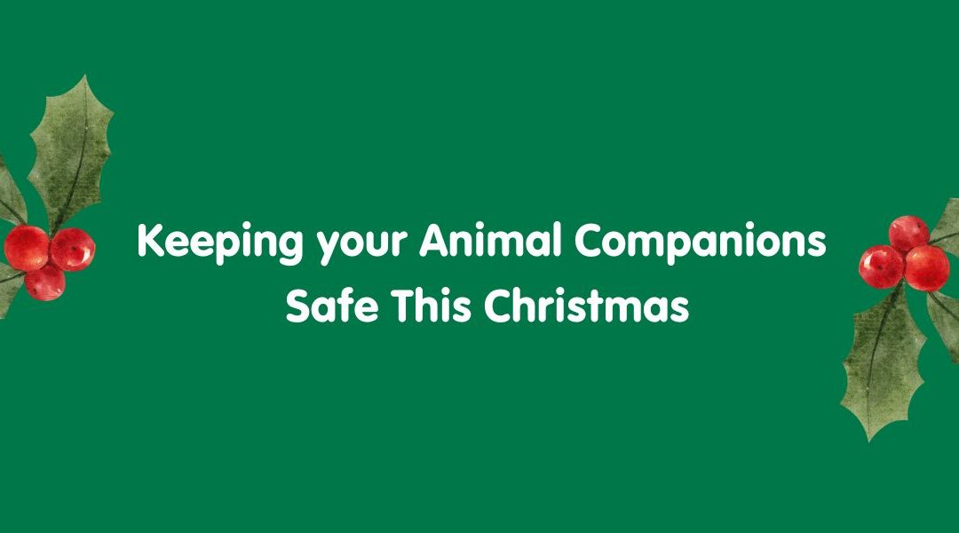 Keeping your Animal Companions Safe This Christmas