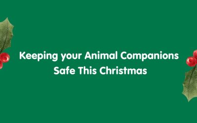 Keeping your Animal Companions Safe This Christmas