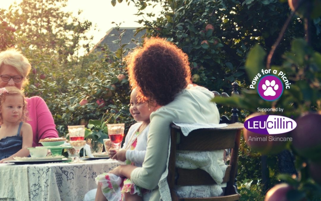 Leucillin Animal Skincare and Humanimal Trust join forces to ‘Paws for a Picnic’