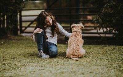 Montessori Group and Humanimal Trust collaborate to Inspire Future Generations to join a Global Community of Compassion