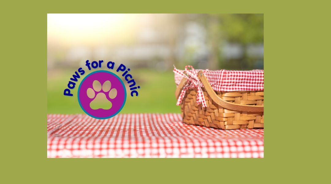 #PawsForAPicnic and be in with a chance of winning a £50 Amazon gift card
