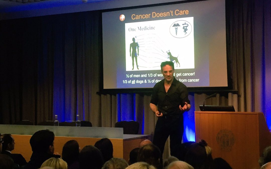 Sharing the vision at the Royal Society of Medicine in London with ORUK