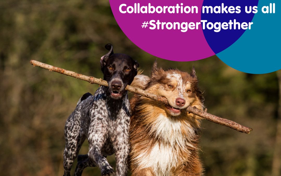 Celebrating a World First – One Medicine Day – 6 May 2021