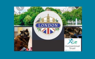 Supporting Humanimal Trust in memory of Brooklyn