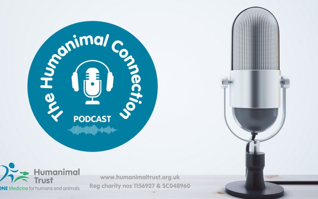 The Humanimal Connection Podcast: How human medicine techniques are keeping rhinos charging ahead