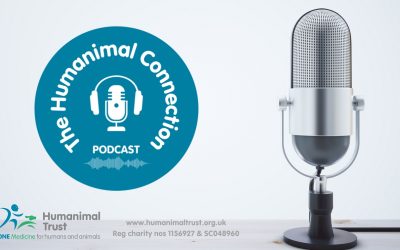 The Humanimal Connection Podcast: How human medicine techniques are keeping rhinos charging ahead
