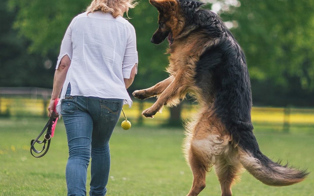 We are Stronger Together – Thank you for Your Support