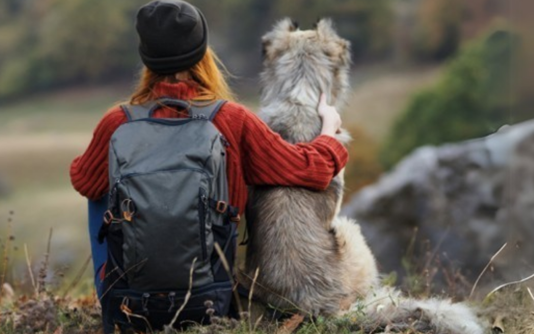 Humanimal Trust marks a transformative year with bold strides for One Medicine