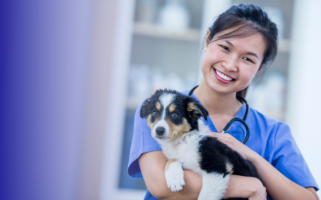 Share your views and help shape the future of ethical veterinary research