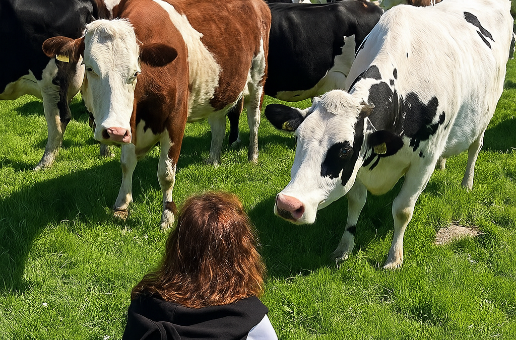 A message for World Animal Day from our CEO Joe Bailey