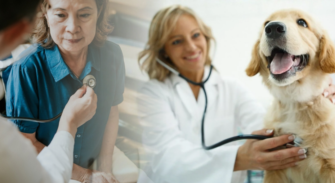 Dual Licensing: One Approval: Twice the Patients Helped, Half the Cost