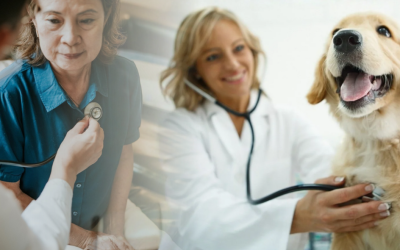 One Medicine, One Approval: Securing dual licensing for human and veterinary medicine