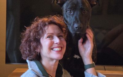 CEO of Humanimal Trust, Joe Bailey, to step down and join Animal Action Greece