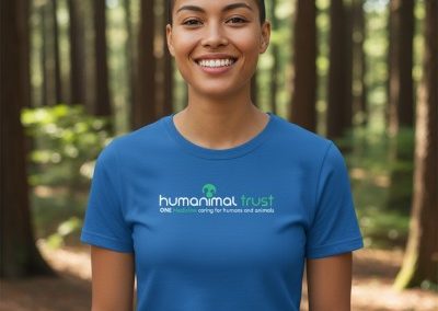 Merchandise - tee shirt