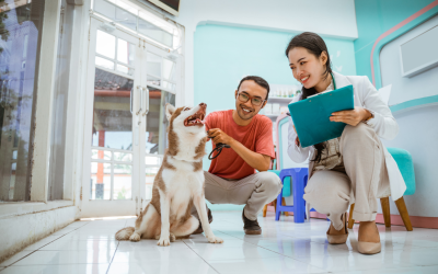 The Power of Engagement: From PPIE in Human Clinical Research to PGIE in Veterinary Medicine