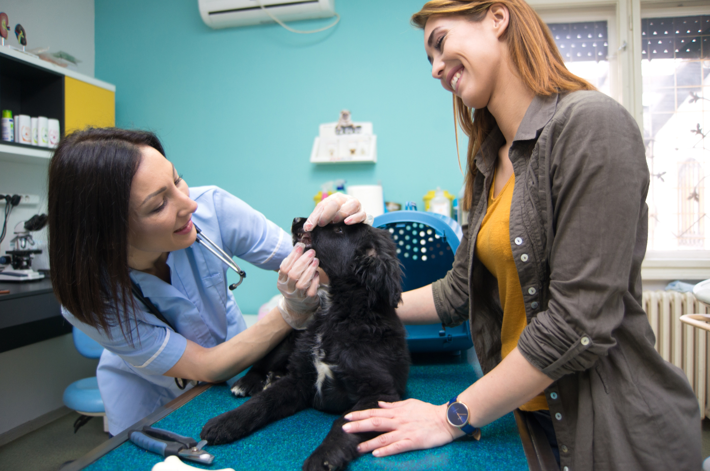 GIE Vet with patient and guardian