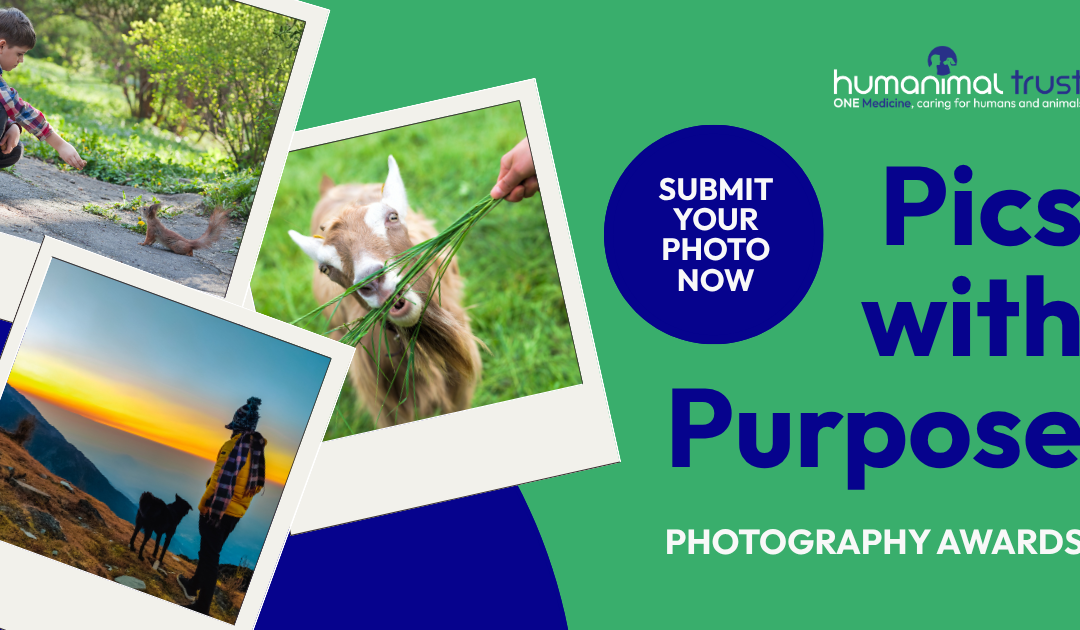Pics with Purpose Photography Awards is now live