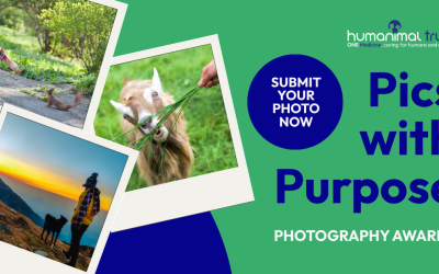 Pics with Purpose Photography Awards is now live