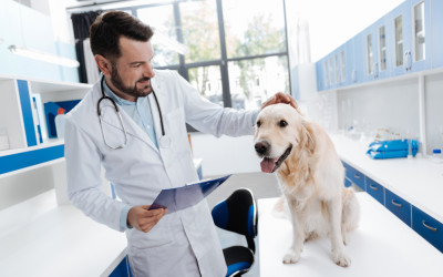 World Cancer Research Day: One cancer, two species